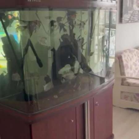 Bryan,s-1 Sp - Apartament Gmina Pomorie