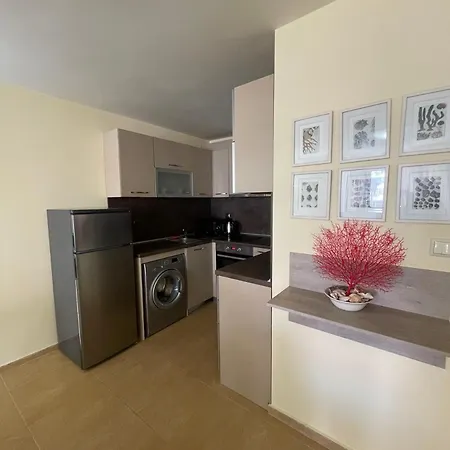 Bryan,s-1 Sp - Daire