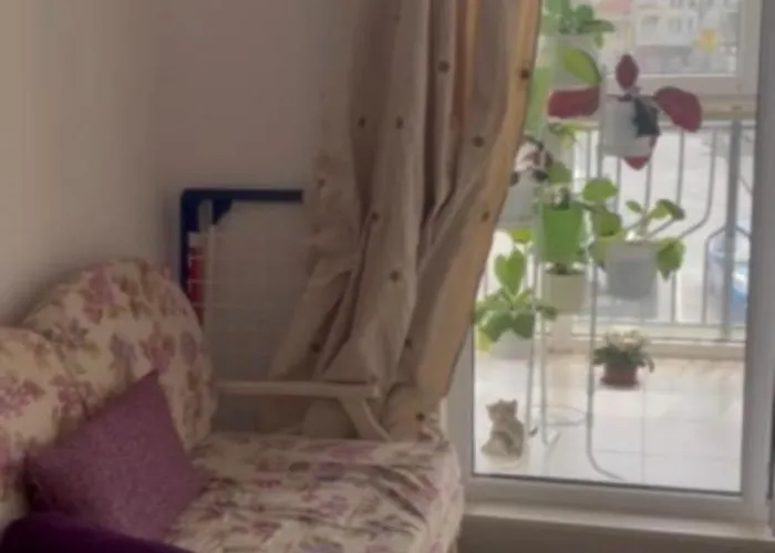 Appartement Bryan,s-1 Sp - Pomorie