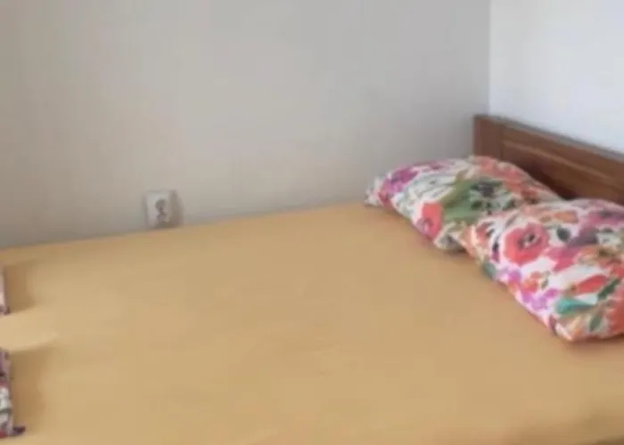 Bryan,s-1 Sp - Pomorie